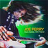 JOE PERRY:Have guitar, will travel