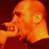 VIÑAROCK, CARTEL