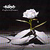 ASHA: “EUPHORIA PROJECT”