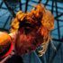 RESUMEN DEL XVI DERRAME ROCK